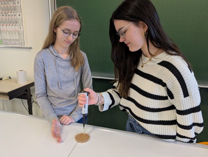 Ein hartnäckiger Pilz